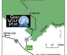 Gray Wolf Peak Casino 108