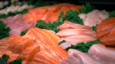 Good Food Store 1552
