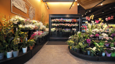 Good Food Store 1557