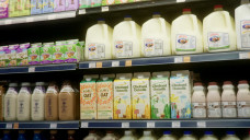 Good Food Store 1563