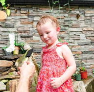 Missoula Butterfly House and Insectarium 1617